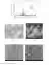 Fig. 02 - CO3W3C Fishbone-Like Hard Phase-Reinforced Fe-Based Wear-Resistant Coating and Preparation Thereof
