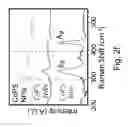 Fig. 06 - HIGH PERFORMANCE EARTH-ABUNDANT ELECTROCATALYSTS FOR HYDROGEN EVOLUTION REACTION AND OTHER REACTIONS