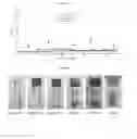 Fig. 04 - Method for producing dispersions of nanosheets