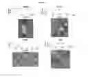 Fig. 08 - Method for producing dispersions of nanosheets