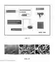 Fig. 06 - Polypeptide electrospun nanofibrils of defined composition