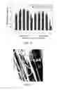 Fig. 11 - Polypeptide electrospun nanofibrils of defined composition