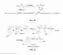 Fig. 15 - Polypeptide electrospun nanofibrils of defined composition