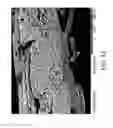 Fig. 13 - Conformable Microporous Fiber and Woven Fabrics Containing Same