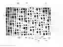 Fig. 01 - Structured forming fabric for a papermaking machine, and papermaking machine