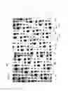 Fig. 02 - Structured forming fabric for a papermaking machine, and papermaking machine
