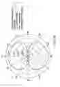 Fig. 11 - Antenna and wireless deadbolt sensor