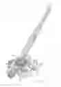 Fig. 02 - Drilling rig and drill head of a drilling rig