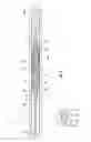 Fig. 02 - Downhole fishing tool and method of use