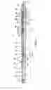 Fig. 02 - HIGH PRESSURE ENVIRONMENT PRESSURE ACTUATION SYSTEM