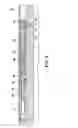 Fig. 04 - HIGH PRESSURE ENVIRONMENT PRESSURE ACTUATION SYSTEM