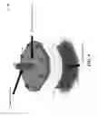 Fig. 12 - Motor/engine with rotating pistons
