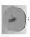 Fig. 13 - Motor/engine with rotating pistons