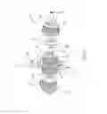 Fig. 04 - Free piston engine