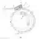 Fig. 06 - Bicycle chain guide with height adjustment