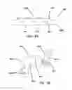 Fig. 06 - Tailgate and door adjustors
