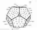 Fig. 01 - MULTISIDED AREA-ILLUMINATING DEVICE
