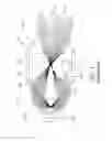 Fig. 02 - Light emitting module with lens