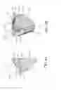 Fig. 06 - Reflecting structure for lamp