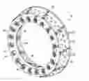 Fig. 01 - Combustion chamber and a combustion chamber segment