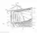 Fig. 01 - Combustor shape cooling system
