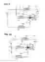 Fig. 06 - Ejector refrigeration cycle