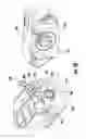 Fig. 19 - Clear ice maker