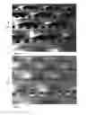 Fig. 05 - Fluidized-bed vaporisation dryer