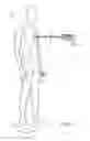 Fig. 02 - THREE-DIMENSIONAL TARGET FOR CONDUCTED ELECTRICAL WEAPONS