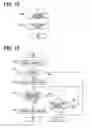 Fig. 11 - Destination determination device for vehicle and destination determination system for vehicle