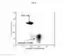 Fig. 09 - Optical analyses of particles and vesicles