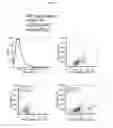 Fig. 17 - Optical analyses of particles and vesicles