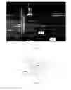 Fig. 03 - Method and apparatus for detection of contaminants in air by laser-induced filamentation
