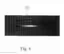 Fig. 04 - Method and apparatus for detection of contaminants in air by laser-induced filamentation