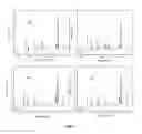 Fig. 05 - Laser induced breakdown spectroscopy (LIBS) apparatus for analyzing biological samples