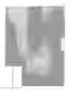 Fig. 13 - Methods and apparatus for determining fertilizer/treatment requirements and/or predicting plant growth response