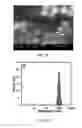 Fig. 04 - ELECTROCHEMICAL DETECTION SYSTEMS AND METHODS USING MODIFIED COATED MULTI-LABELED MAGNETIC BEADS WITH POLYMER BRUSHES