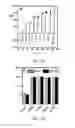 Fig. 07 - ELECTROCHEMICAL DETECTION SYSTEMS AND METHODS USING MODIFIED COATED MULTI-LABELED MAGNETIC BEADS WITH POLYMER BRUSHES