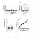 Fig. 02 - IL-2 peptide derivatives, and uses thereof for the diagnosis and treatment of an autoimmune disease