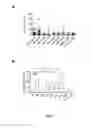 Fig. 04 - IL-2 peptide derivatives, and uses thereof for the diagnosis and treatment of an autoimmune disease