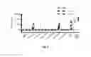 Fig. 05 - IL-2 peptide derivatives, and uses thereof for the diagnosis and treatment of an autoimmune disease