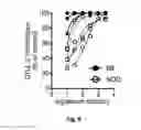 Fig. 08 - IL-2 peptide derivatives, and uses thereof for the diagnosis and treatment of an autoimmune disease