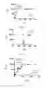 Fig. 46 - METHODS OF DIAGNOSING CELIAC DISEASE USING IP-10