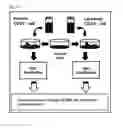 Fig. 06 - Method for predicting prognosis of acute myeloid leukemia relapse