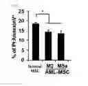 Fig. 22 - Method for predicting prognosis of acute myeloid leukemia relapse