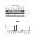 Fig. 06 - METHOD FOR PREDICTING RESPONSE TO THERAPY FOR CANCER