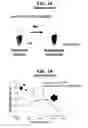 Fig. 02 - Achromatic colorimetric sensor using nano particles