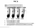 Fig. 08 - Achromatic colorimetric sensor using nano particles
