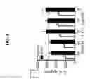 Fig. 09 - COMPOSITIONS AND METHODS FOR TREATING SUBJECTS WITH IMMUNE-MEDIATED DISEASES