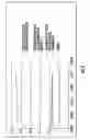 Fig. 06 - MATERIALS AND METHODS FOR DIAGNOSIS OF PERI-IMPLANT BONE AND JOINT INFECTIONS USING  PROPHENOLOXIDASE PATHWAY
